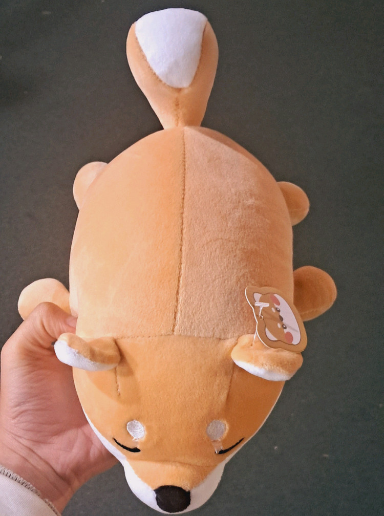 시바견모찌인형 이미지