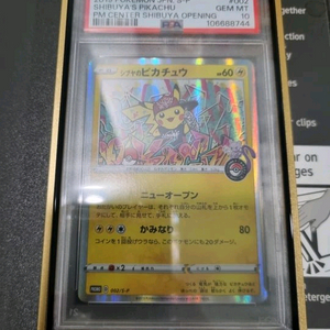 포켓몬카드 일판 시부야 피카츄 PSA 10 이미지