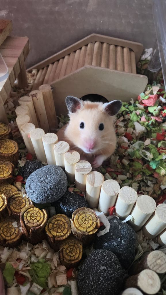 프로필 이미지