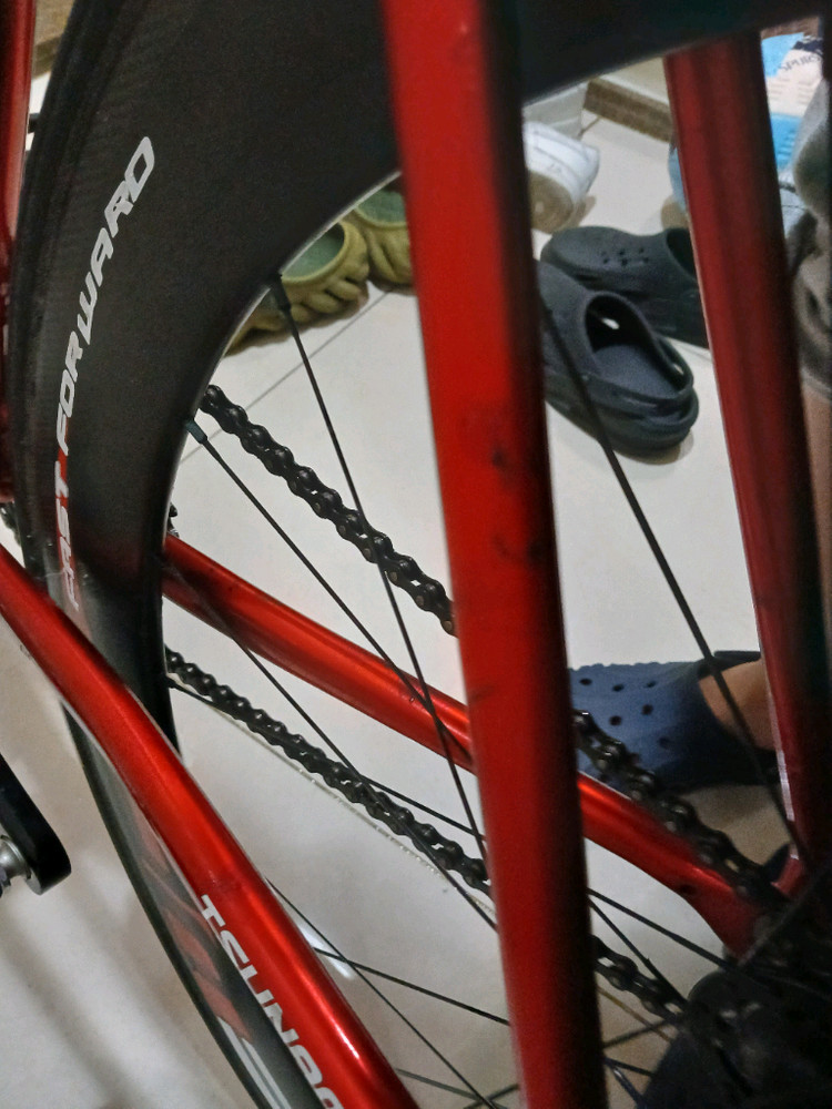 쓰나미 레드와인 snm100 급처 이미지