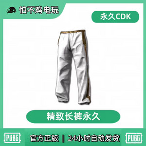 배그 스킨 따거 바지 이미지