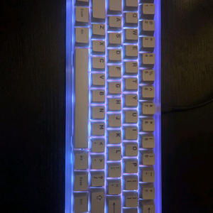 베놈60he rgb Frog mini leggera 이미지