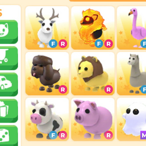 입양하세요 펫 판매합니단 이미지