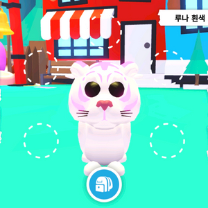 입양하세요 루나 흰색 호랑이 이미지