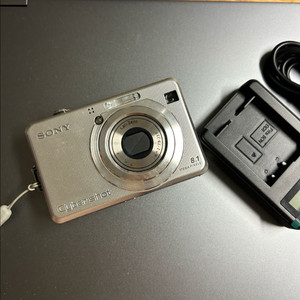 소니 사이버샷 DSC-W100 이미지