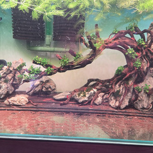 수초 어항 장식 세트 이미지