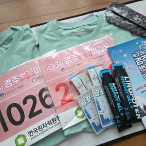 경주벚꽃마라톤 10km양도 이미지