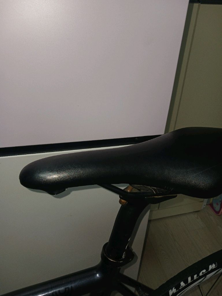 엔진11크릿디 블라스트 오렌지 판매합니다 이미지