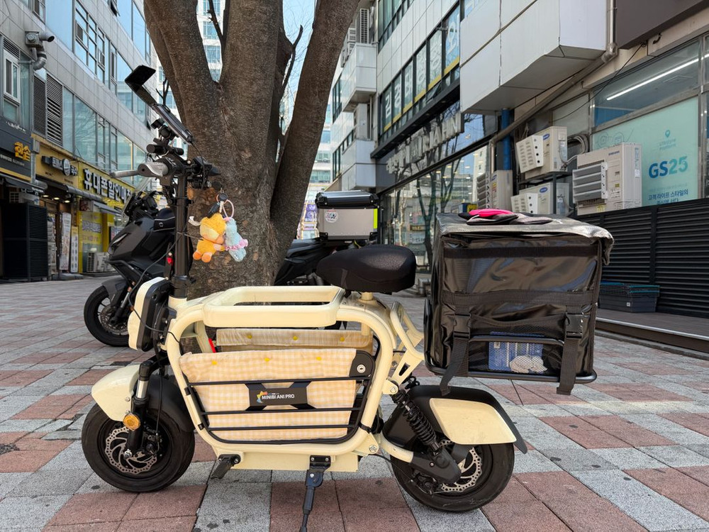 미니비 애니프로 전기스쿠터 이미지