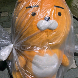 카카오 프렌 캐릭터 인형1+1인기제품! 이미지