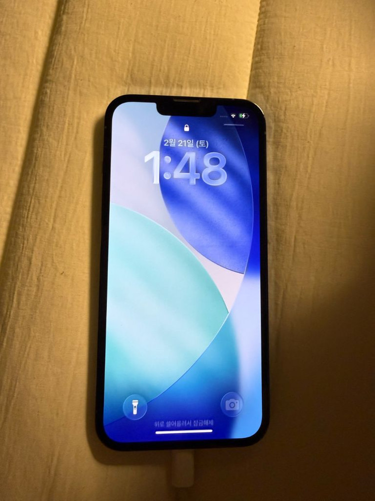 아이폰 13pro 256g 시에라블루 이미지