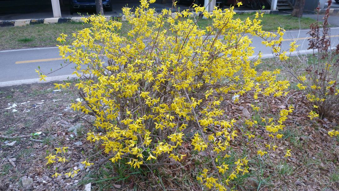 파나소닉 루믹스 DMC-ZX3 이미지