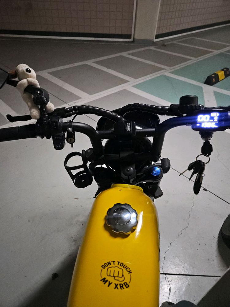 엑스라이더 x200pro 자토바이 전기자전거(54.2v) 이미지