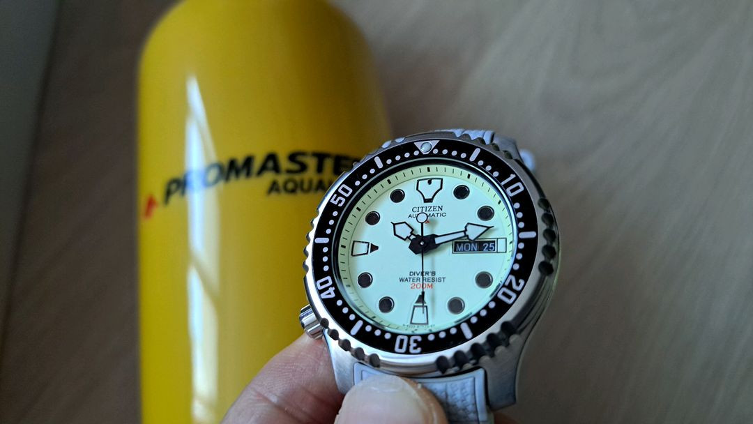 시티즌 복어 풀루메 오토메틱 메탈 브레이슬릿 이미지