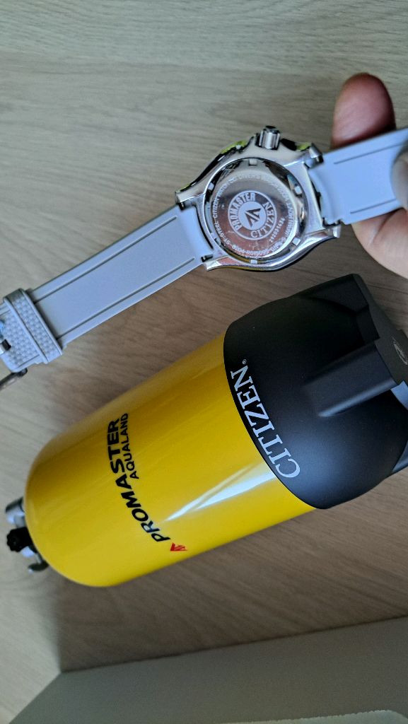 시티즌 복어 풀루메 오토메틱 메탈 브레이슬릿 이미지