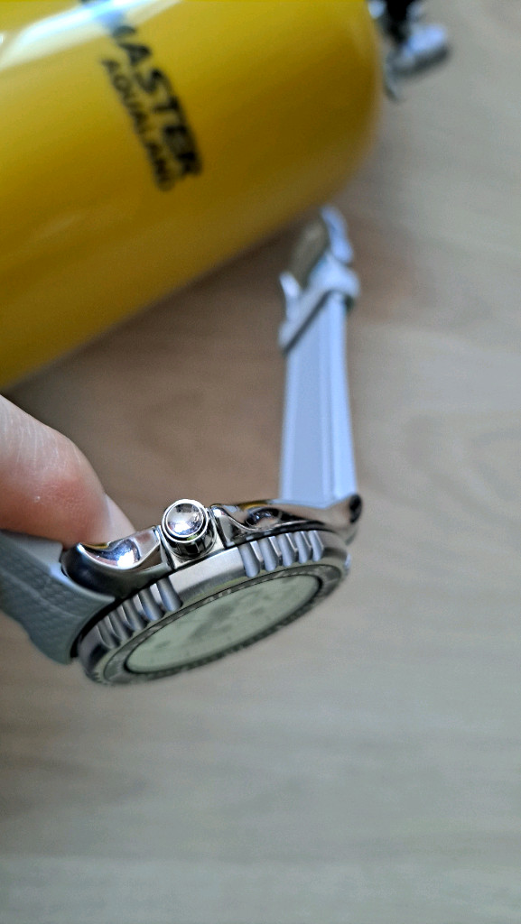 시티즌 복어 풀루메 오토메틱 메탈 브레이슬릿 이미지