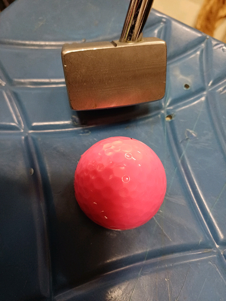 던롭 클리브랜드 스마트STUBBY퍼터.34인치 이미지