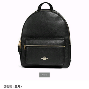 코치 백팩 (가죽+나일론) 이미지