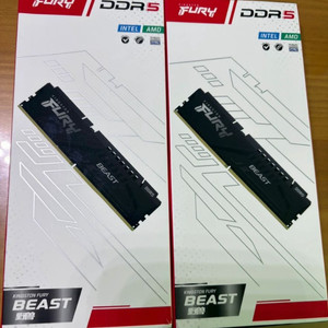 킹스톤 퓨리 비스트 DDR5 6000MHz 램 32gb 이미지