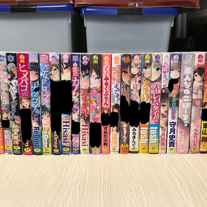 일본 성인 만화책 원서 동인지 총집편 이미지