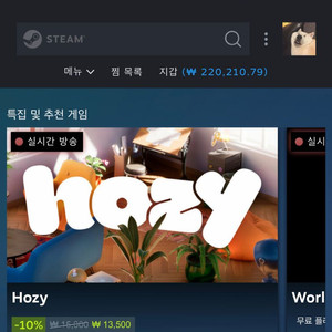 스팀 월렛 22만원 80비율 판매 이미지