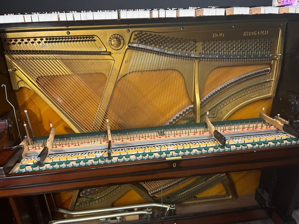 YAMAHA 업라이트 피아노 + Genio 사일런스 이미지