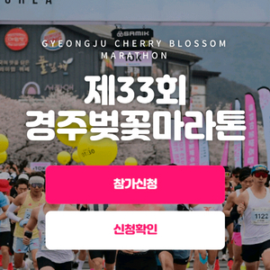 경주 벚꽃 마라톤 남성 하프코스 정가양도 이미지