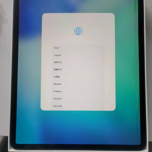 애플 아이패드 프로4세대12.9형 셀룰러 256GB 이미지