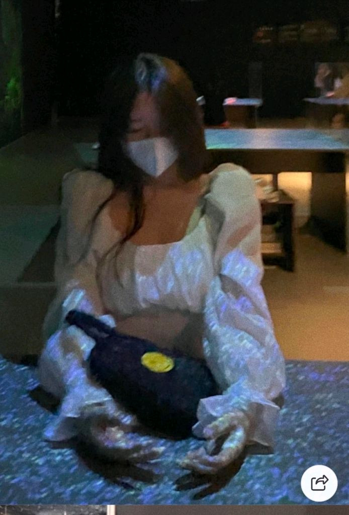 엔뉴엘 지젤블라우스 이미지