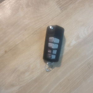 그랜드 카니발 5버튼 리모콘 이미지