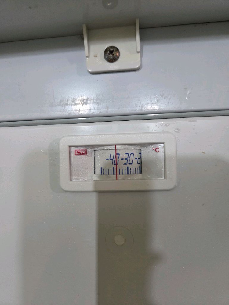 캐리어 업소용 쇼케이스 냉동고 술잔 소주 냉장고 이미지