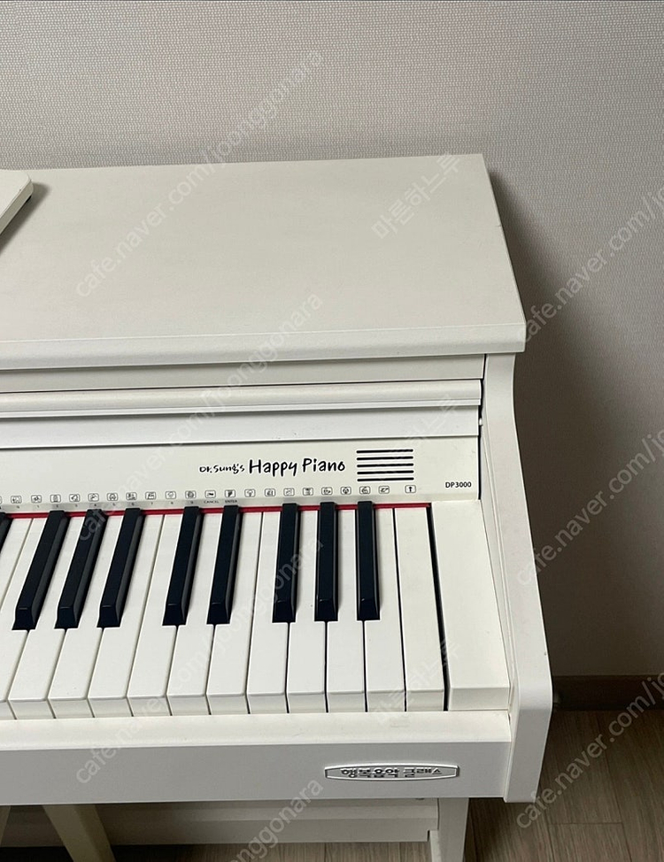 다이나톤 디지털피아노 DP3000 이미지