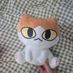 고양이 인형 이미지