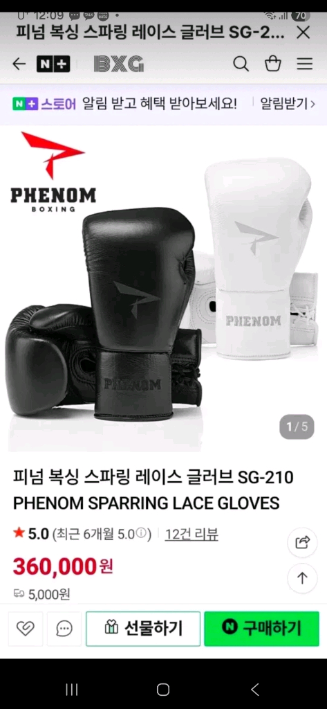 피넘 16온스 복싱 글러브 이미지