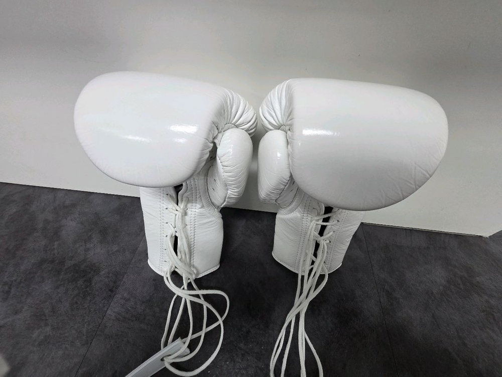 피넘 16온스 복싱 글러브 이미지