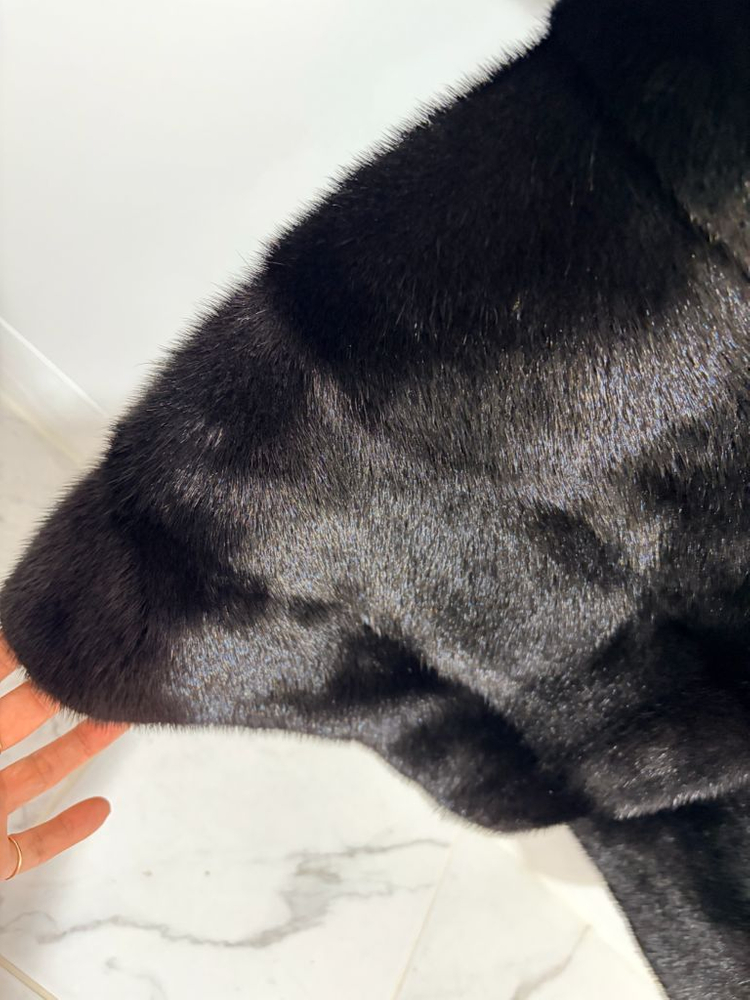 진도 모피 이미지