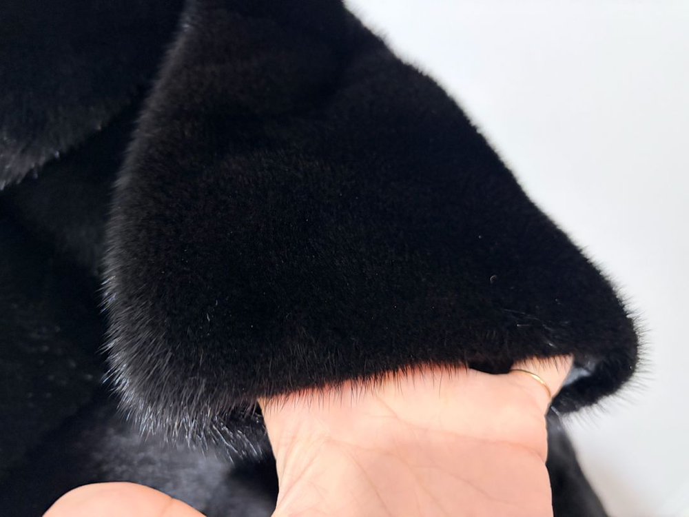 진도 모피 이미지