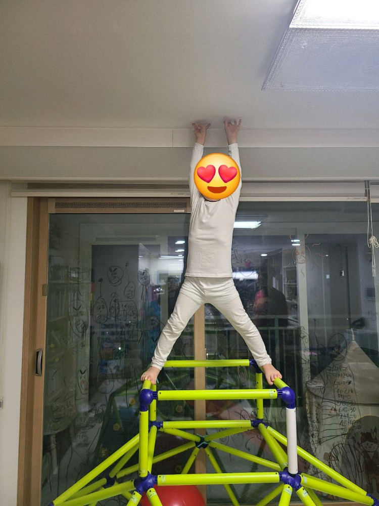 이지피지 몽키바 정글짐 이미지