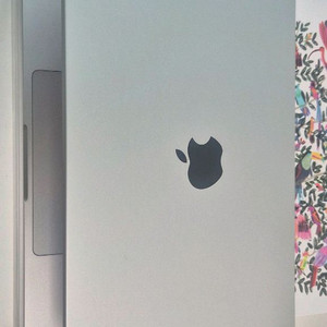 맥북 M4 pro 14인치 14/20코어 48램 1Tb 실버 이미지