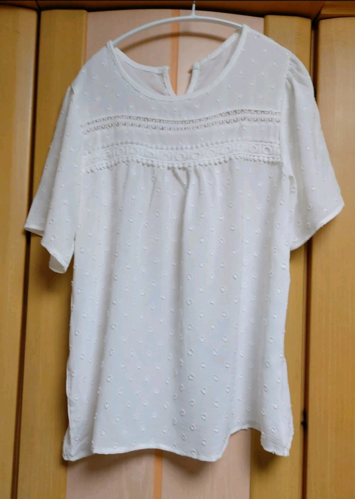 펀칭 레이스 반팔 블라우스 77사이즈 (새상품) 이미지