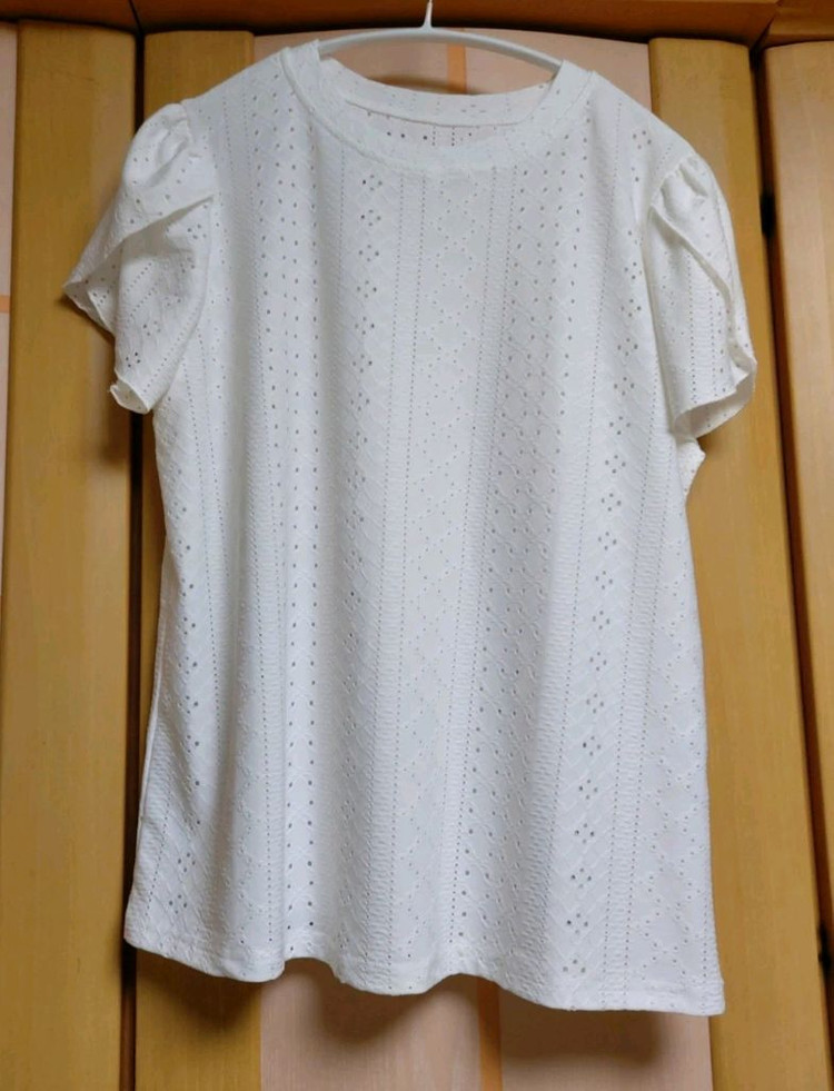 레이스 반팔 블라우스 아이보리 77사이즈 (새상품) 이미지