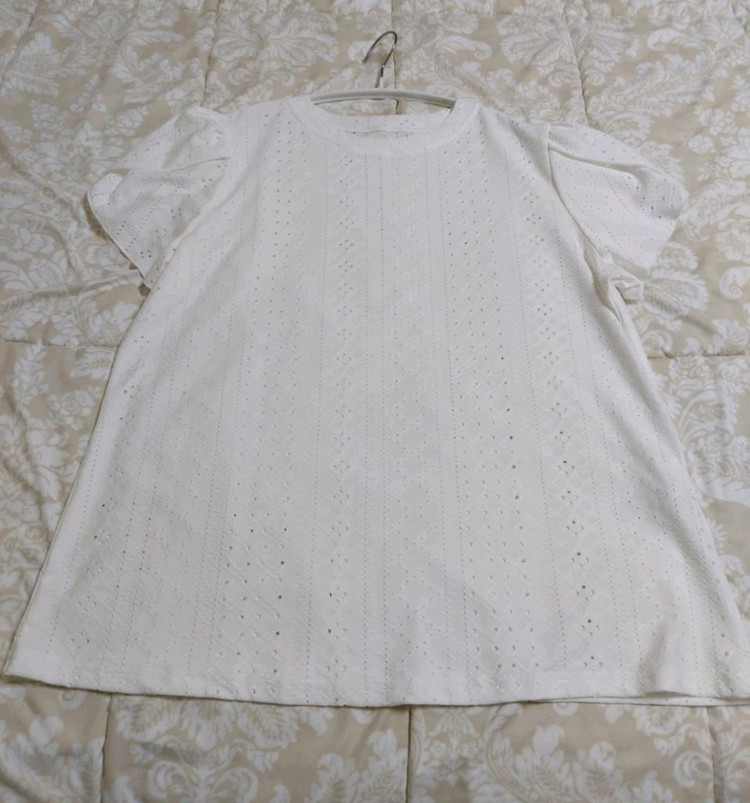 레이스 반팔 블라우스 아이보리 77사이즈 (새상품) 이미지