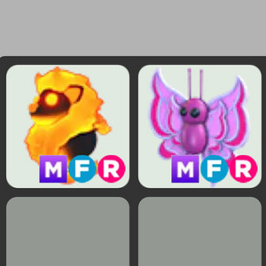 입양하세요 메블사, 메오키드 나비 삽니다 이미지