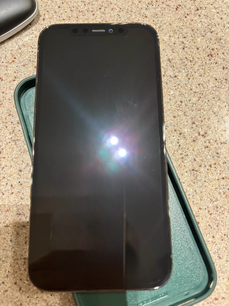 아이폰 12 Pro 그라파이트 256GB 이미지