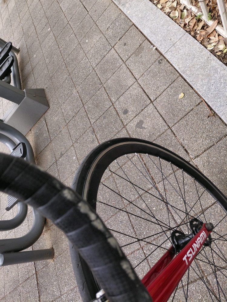 픽시 쓰나미 이미지