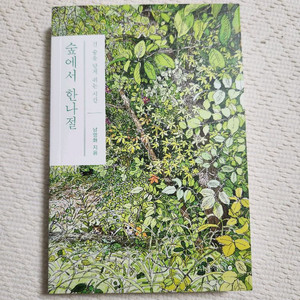 숲에서 한나절 (책) 이미지