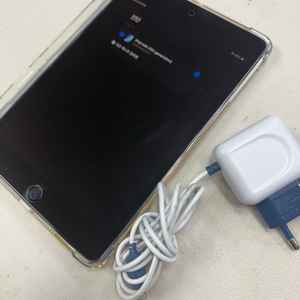 아이패드 미니5 64g 셀룰러 민트급 이미지