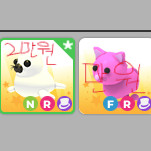 입양하세요 팻들 팝니다 이미지