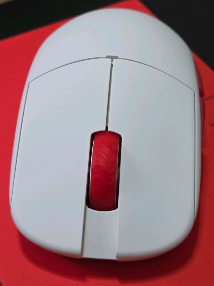 람주 미니 챔피언 레드 이미지