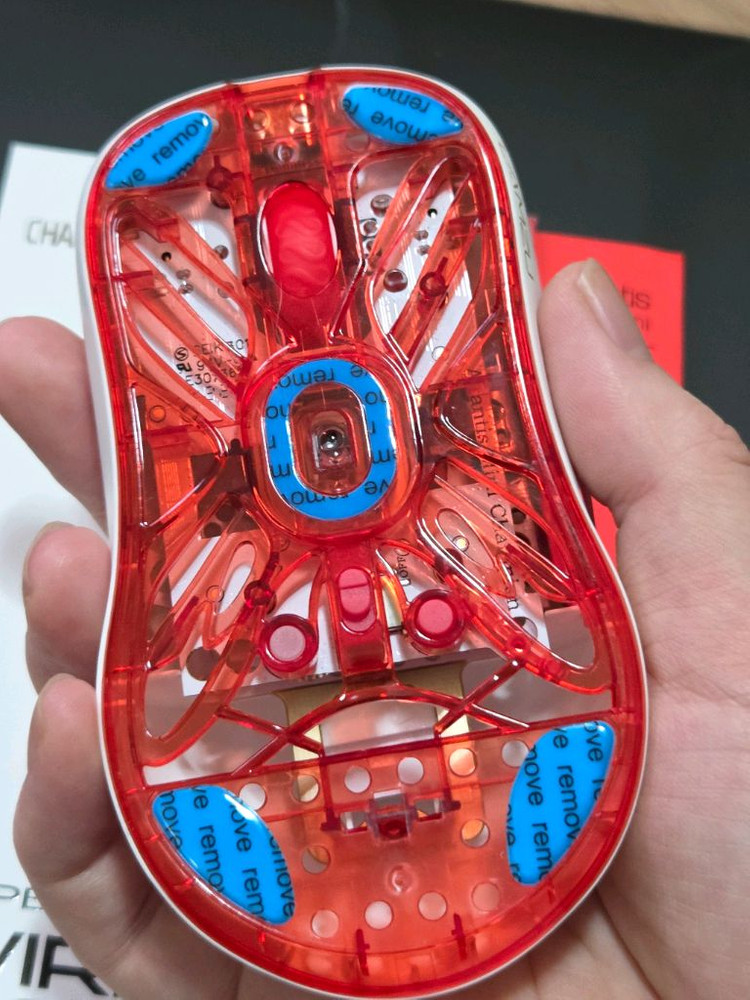 람주 미니 챔피언 레드 이미지